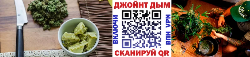 Купить  Гай  Canna-Cookies конопля 