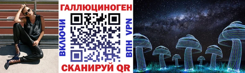Галлюциногенные грибы Psilocybe Гай
